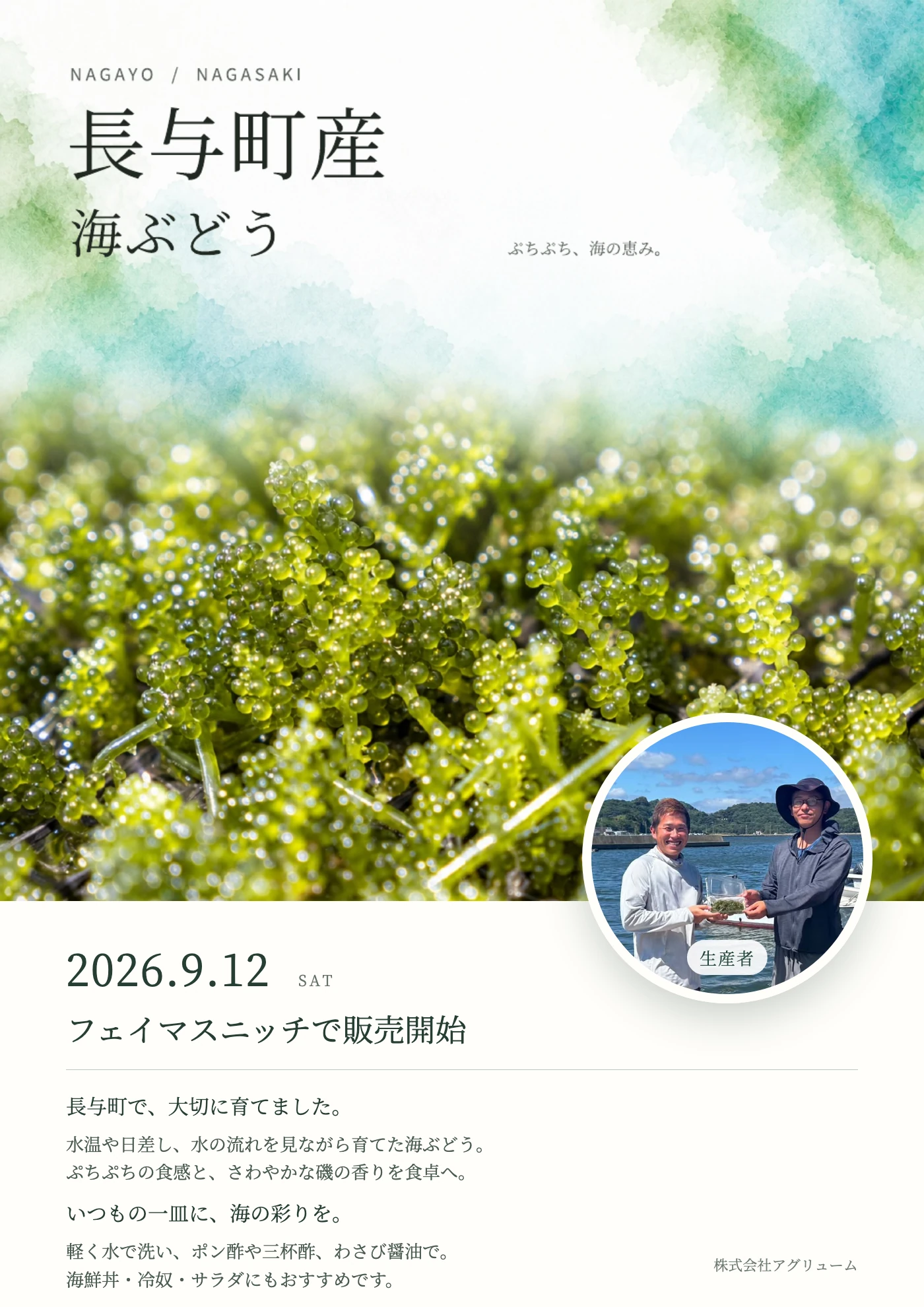 長与町産 海ぶどう。2026年9月12日よりfamous nicheで販売開始。